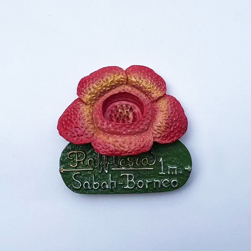 Malaysia Sabah Borneo Rafflesi - Home Decor Malaysia review and price