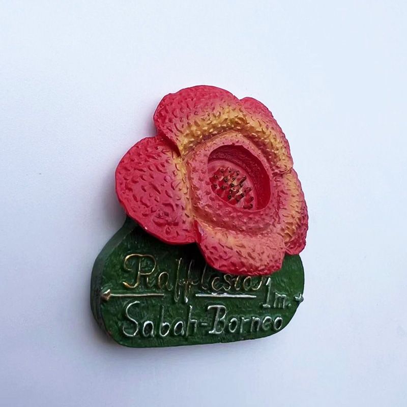 Malaysia Sabah Borneo Rafflesi - Home Decor Malaysia review and price